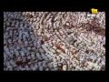 Videoclip Al-Lh Al-Lh - Assi El Helani